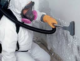 Best Residential Mold Inspection & Testing in Llano, TX